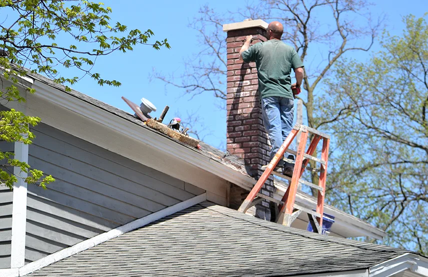 Chimney & Fireplace Inspections Services in Beloit, WI